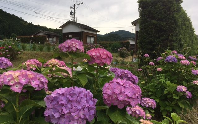 6月といえば・・・